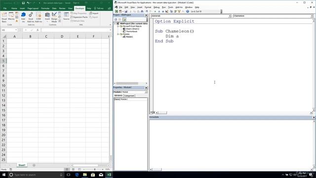 Excel VBA Programming - Variables and Data Types | 13 - The Variant Data Type смотреть онлайн