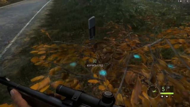 TheHunter Call Of The Wild прохождение. Часть 1 - Первые шаги