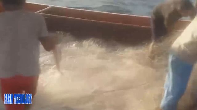 Amazing Fisherman Trawl Long Net Fishing - The Most Satisfying Catch a lot of live fish on the Sea смотреть онлайн
