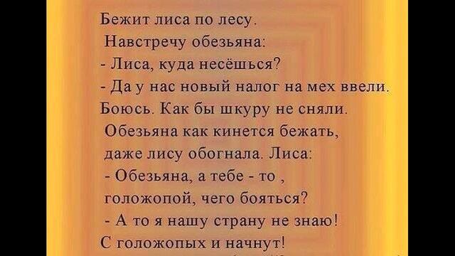 Как мужик презервативы покупал и про лису с обезьяной. Анекдот. смотреть онлайн