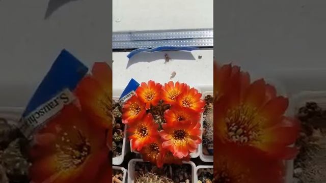 8.04 продолжение