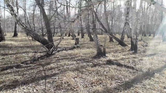 Анекдот про то.как тяжело на острове без женщины. смотреть онлайн
