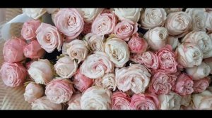 Пионовидная кустовая роза Бомбастик