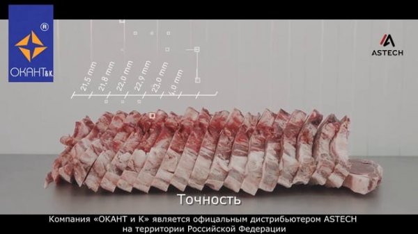 Автоматическая пила ASTECH модель PW-SAW для резки замороженного мяса на кости по весу и толщине