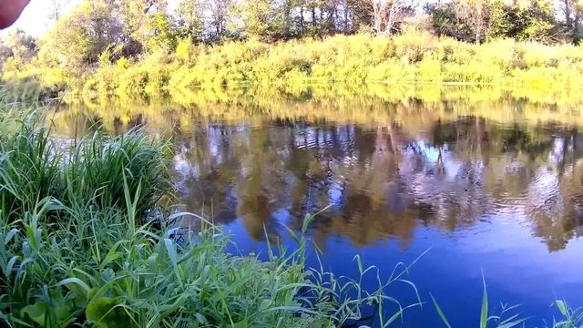 Рыбалка на поплавок на речке в в августе. смотреть онлайн