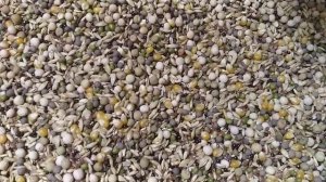 Зерновая смесь на период линьки голубей