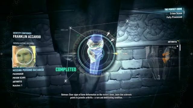 The Search For Oracle смотреть онлайн