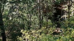 Аршан в августе. День 1й.Прогулка к водопаду, каменная река, база«Сосновый бор» #аршан#отдыхваршане