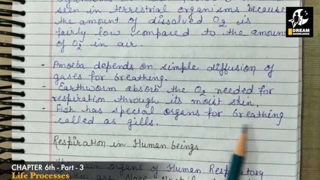 CBSE || NCERT || Class 10th || Chapter 6 || Life Processess || Biology || Part 3 смотреть онлайн