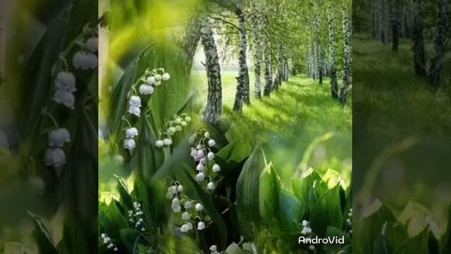 #медитация "Майский лес" с частотой 396 Гц избавления от #одиночества #асмр смотреть онлайн