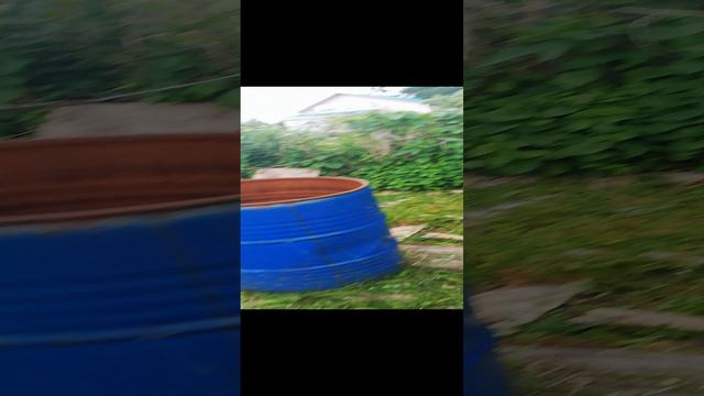 Неделя без огорода