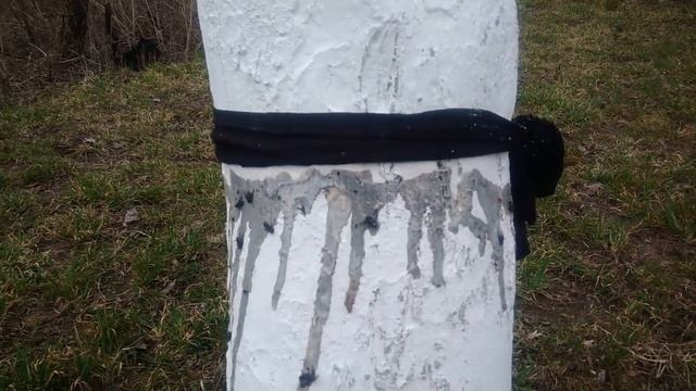 Борьба с муравьями,цветоедом и другими вредителями в наших садах смотреть онлайн