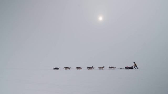 Эволюция брендирования BASK с 1992 года смотреть онлайн