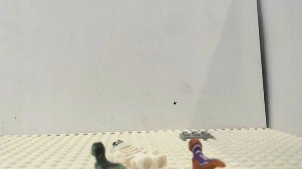 Анимация 🦖