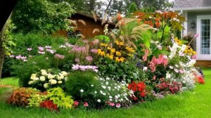 Как сделать миксбордер своими руками - 2?  Декоративный сад  своими руками.