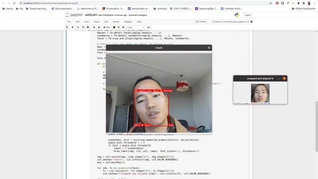 Face detection, landmark detection, age/gender estimation, face recognition demo 1 смотреть онлайн