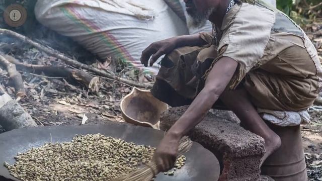 Копи Лювак смотреть онлайн