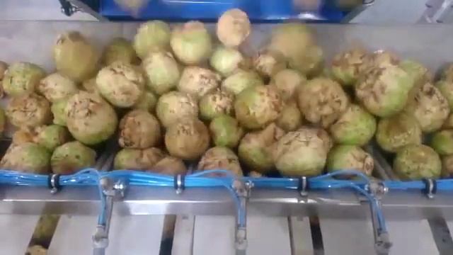 Упаковка овощей / Взвешивающая станция для овощей MW1013 упаковка в сетчатый мешок