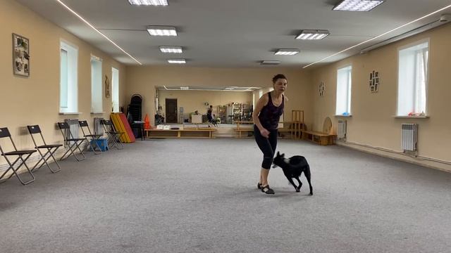 Танцы с собаками Dog dance Тимошина Светлана & Брина Танец "Дикая река". Тренировка № 1. 01.12.2021 смотреть онлайн