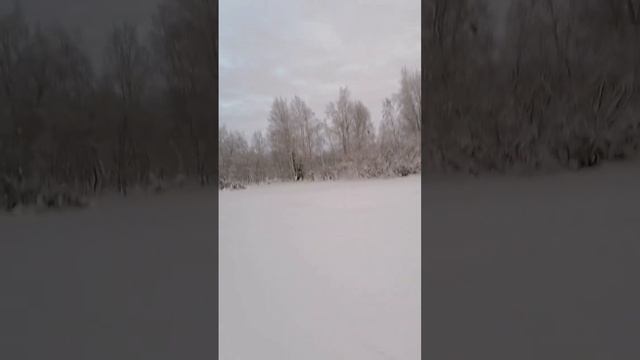 Снегоход sm002. Тест с бензонасосом от Тайги 500. смотреть онлайн