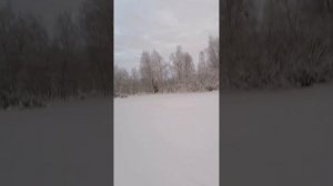 Снегоход sm002. Тест с бензонасосом от Тайги 500.