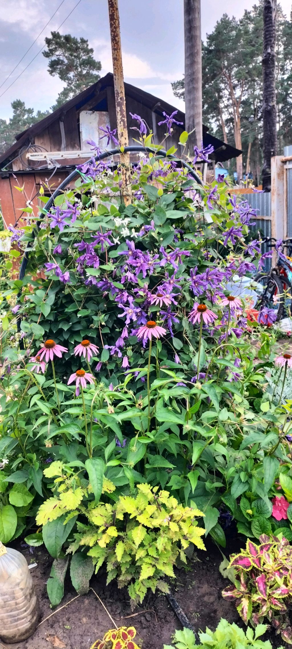 цветы 🥀🥀🥀