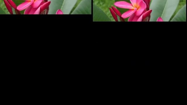 Google Pixel 7 VS Oneplus 9 Pro Camera Comparison | Google Pixel 7 Camera Review | Pixel 7 Battery