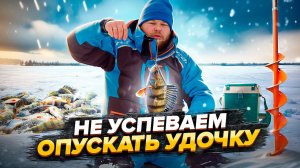 НЕ УСПЕВАЕМ ОПУСКАТЬ УДОЧКУ