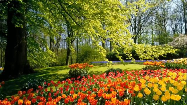 🤗Если бы ВЫ ЗНАЛИ, кто ВЫ ЕСТЬ✨ смотреть онлайн