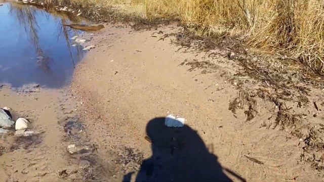 Поход по Карельскому перешейку 7-9 апреля. День второй. День приключений. смотреть онлайн