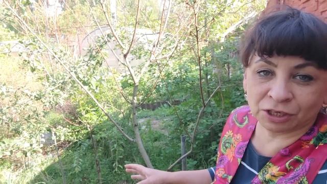 Вся семья в сборе. Внуки приехали в гости. Опять мороз. Переезд саженцев. Жизнь семьи в деревне. смотреть онлайн