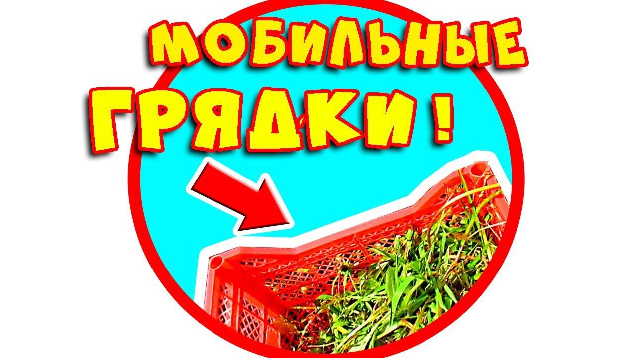 МОБИЛЬНЫЕ ГРЯДКИ: как сделать ПЕРЕНОСНОЙ ОГОРОД из овощных контейнеров и покрышек