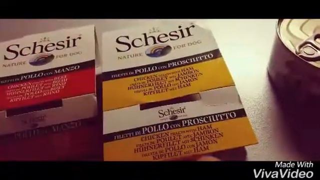 Покупки из зоомагазина//йоркширский терьер смотреть онлайн