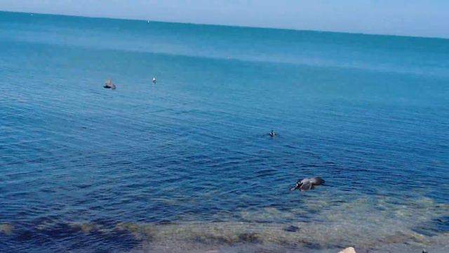 АПРЕЛЬ - ПРОГУЛКА ПО ФЕОДОСИИ 2023 смотреть онлайн