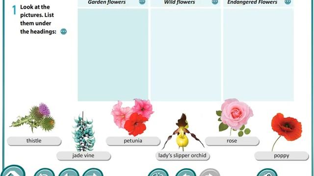 Excel 8th Grade. Module 6. The Natural World. Flowers