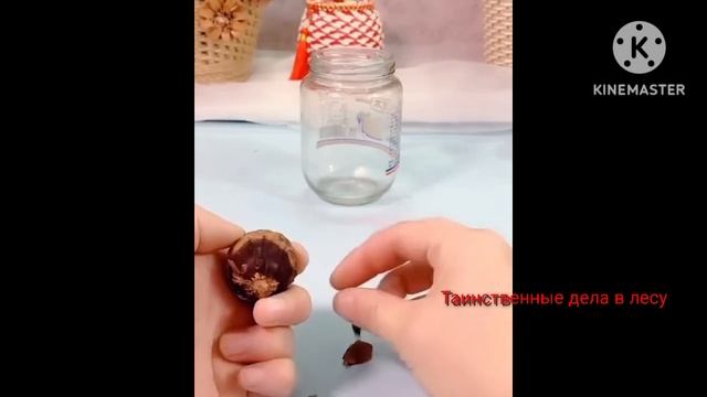 Идей для дома своими руками. Поделки из веток деревьев своими руками смотреть онлайн