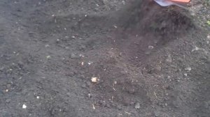 Культиватор электрический ручной Expert Garden