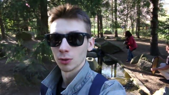 Цветение сакуры в Японском саду смотреть онлайн