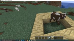 как создать спавн для всех игроков на атернос