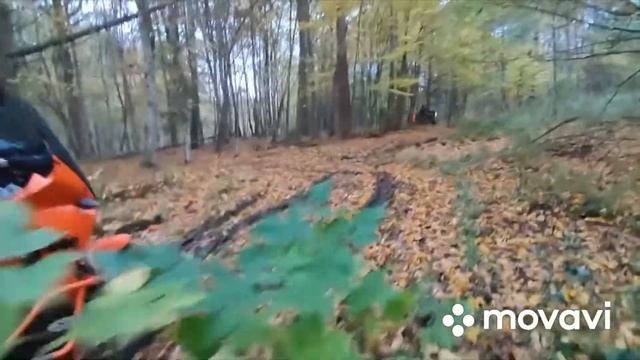 Эндуро на КТМ 990 по болоту Целлау смотреть онлайн