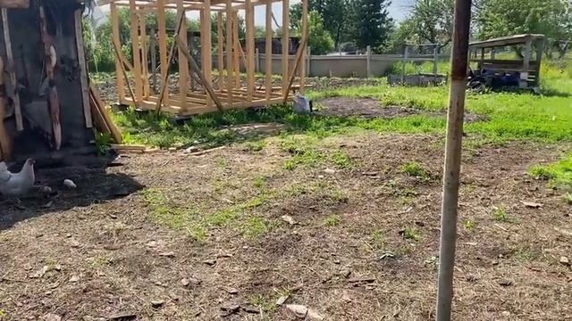 Строю курятник. своими руками. смотреть онлайн