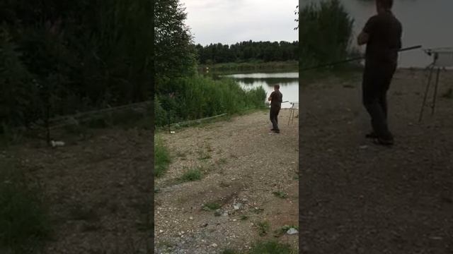 Карпфишинг на Кабаньих Прудах 2018 год..Клипсование смотреть онлайн