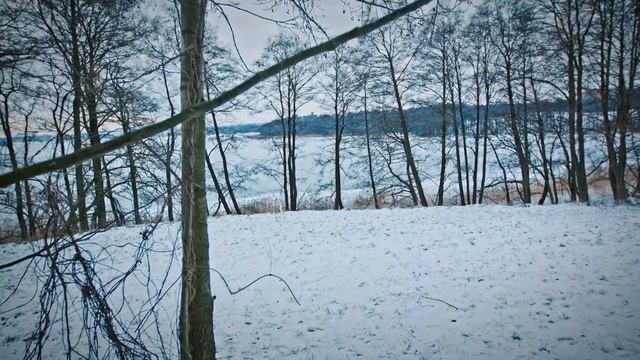 Ursa Mini 4.6K, Glidecam, Canon 16-35 f2.8L II, 4K 50fps TEST смотреть онлайн