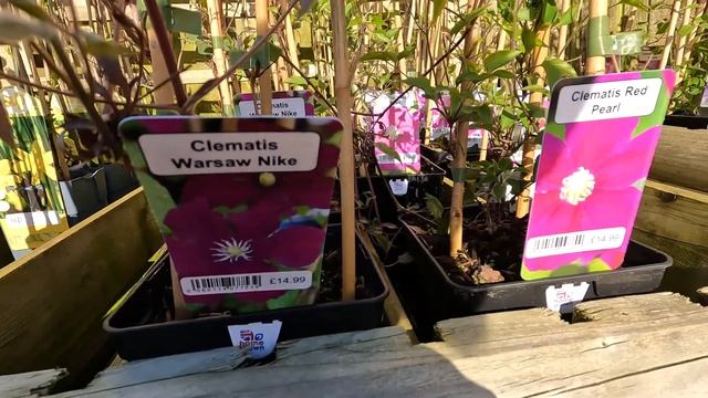 Садовый центр. Магазин для садоводов, цены. Розы, рассада и всё для сада, Англия, Великобритания.
