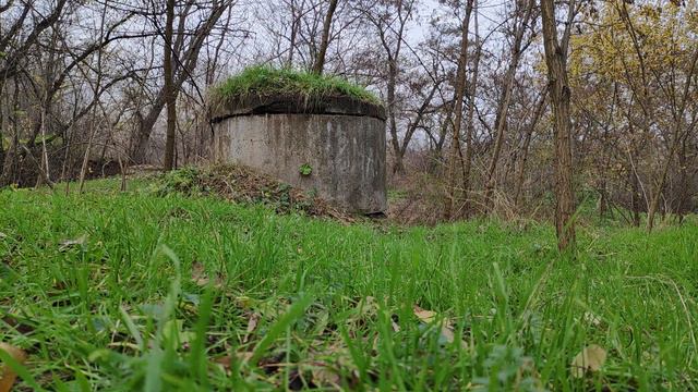 ЗАПОРОЖЬЕ ЧТО ПРОИСХОДИТ?... 28.11.2022 смотреть онлайн