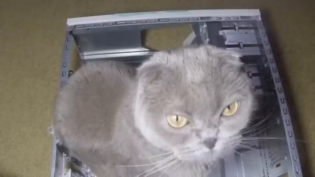 МОДИНГ Корпуса Древнего ПК - Old PC Case Modding DIY смотреть онлайн