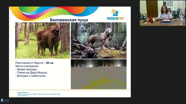 Вебинар МУЛЬТИТУР: Экскурсионные туры в Беларусь смотреть онлайн