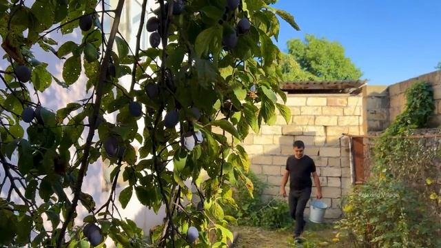 ВАРЕНЬЕ ИЗ ПЛОДОВ КИЗИЛА И КОМПОТ Азербайджанская Кухня Деревенская Кухня Рецепты смотреть онлайн