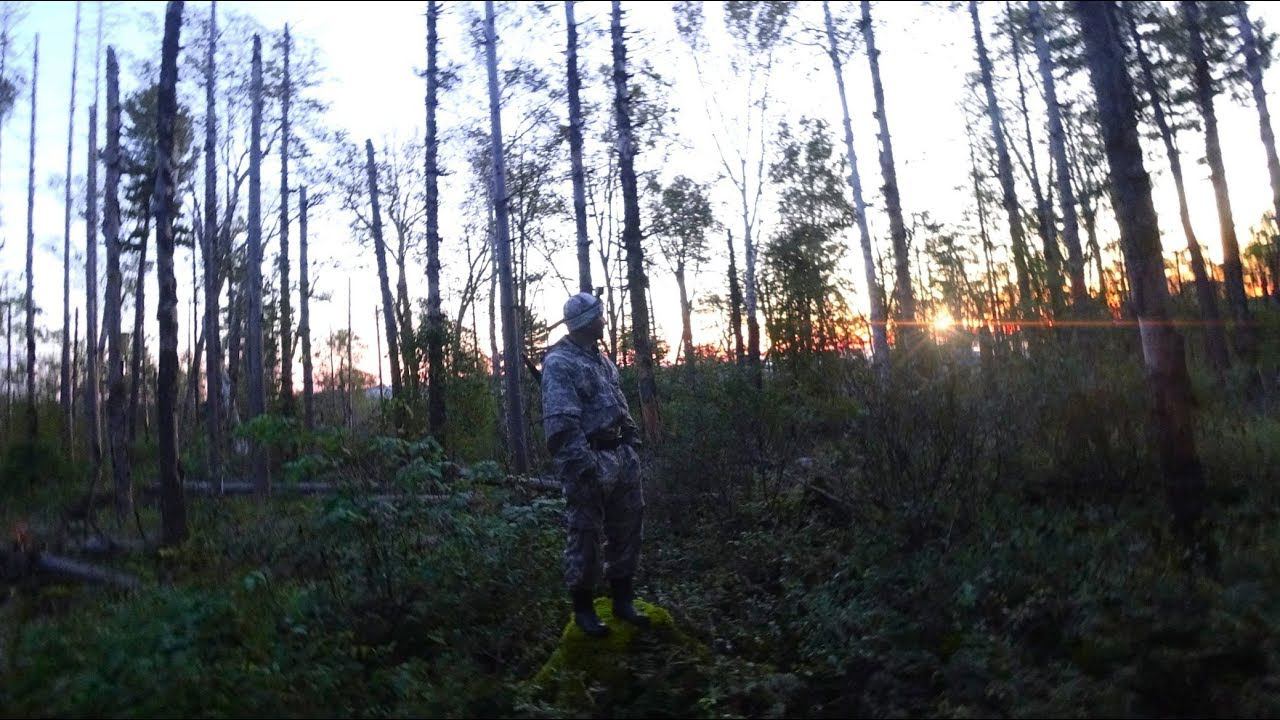 РЕВ ИЗЮБРЯ. Ореховая лихорадка, приехали на табор. смотреть онлайн