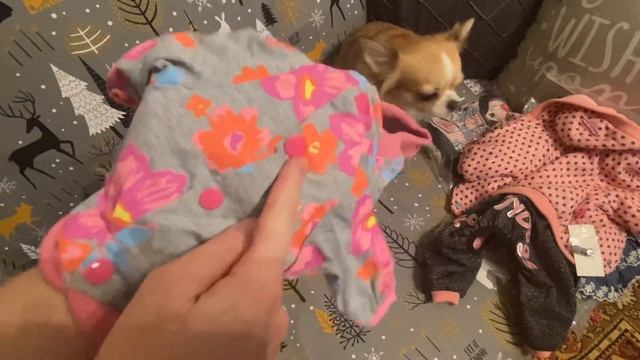 Распаковка посылки ? от Formydogs.